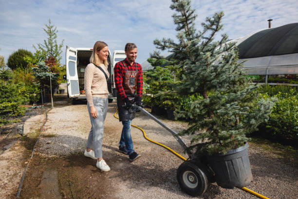 Best Tree Maintenance Programs  in Nichols Hills, OK